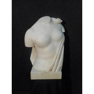 Bust In Carrara Marble Signed Augusto Benvenuti 1839-1899