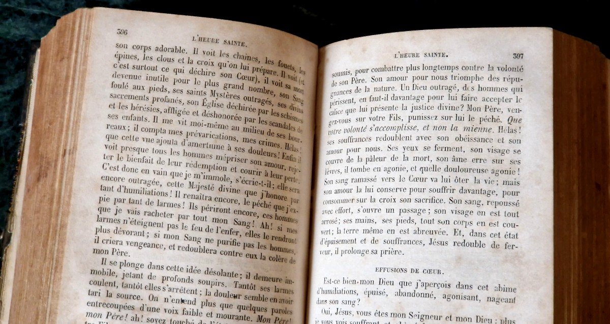Manuel De Pitié 1867-photo-5