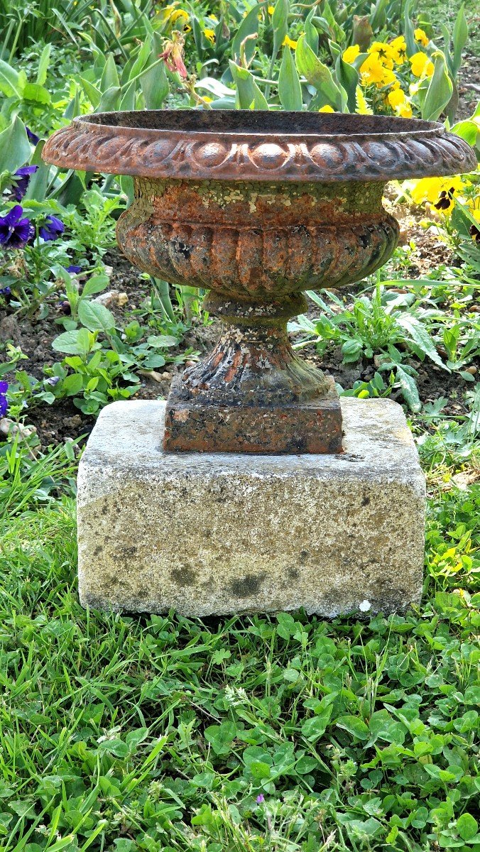 Medici Jardiniere Vases 19th Century-photo-4