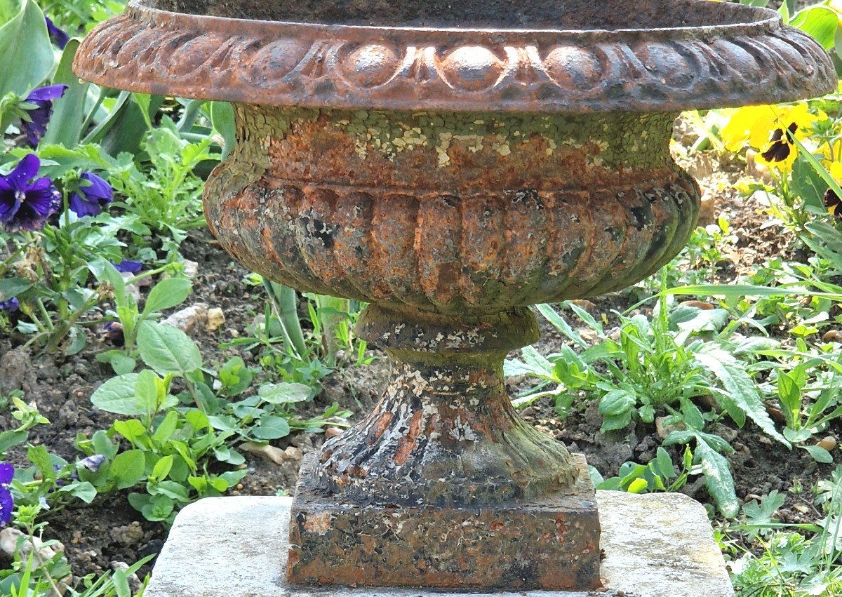 Medici Jardiniere Vases 19th Century-photo-5