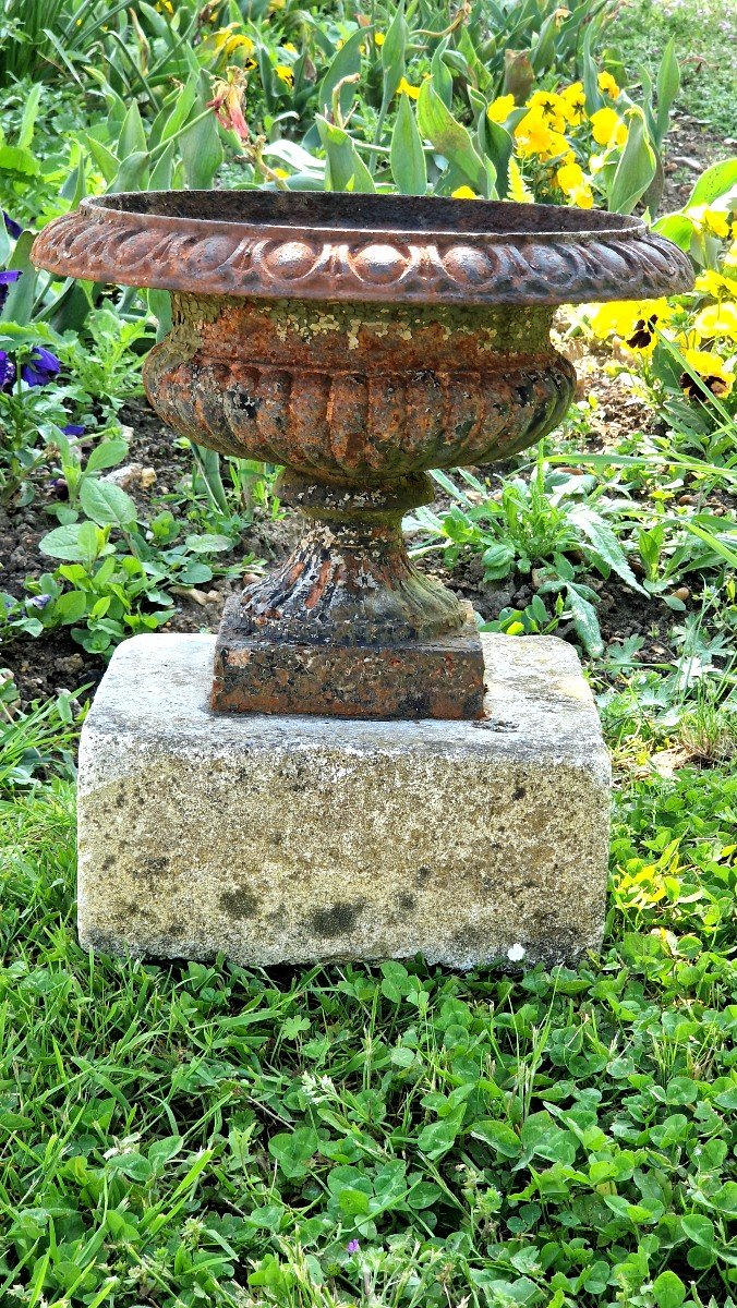 Medici Jardiniere Vases 19th Century