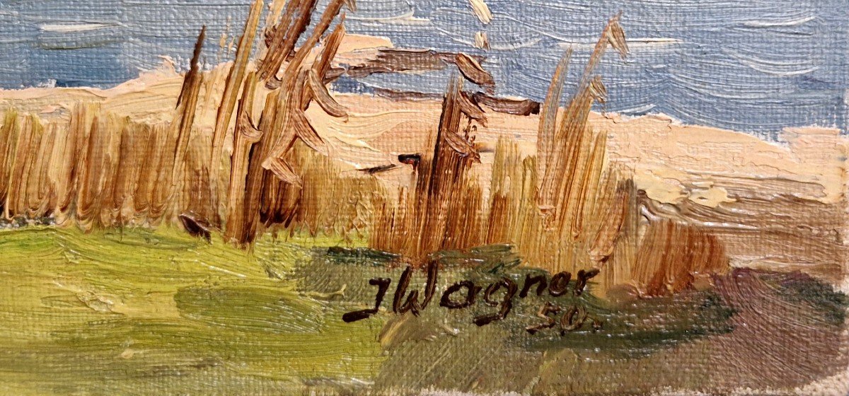  Huile sur toile de Jean Wagner - Vallée De Wäggi En Suisse-photo-3