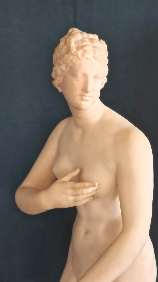 statue en marbre et albatre représentant Vénus signé F. G . Pugi Florence-photo-2