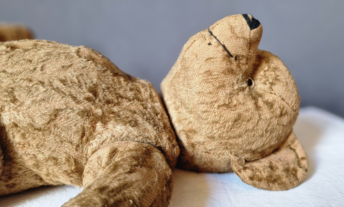 Ancien ours en peluche début XXe-photo-4