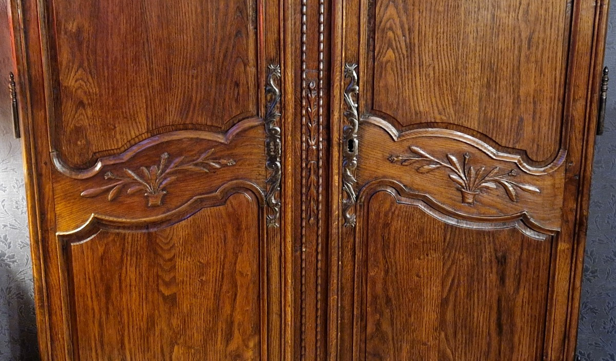 Paire de portes en chêne sculpté XIXe-photo-3