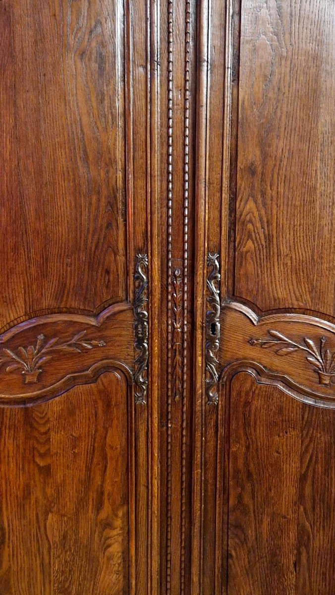 Paire de portes en chêne sculpté XIXe-photo-1