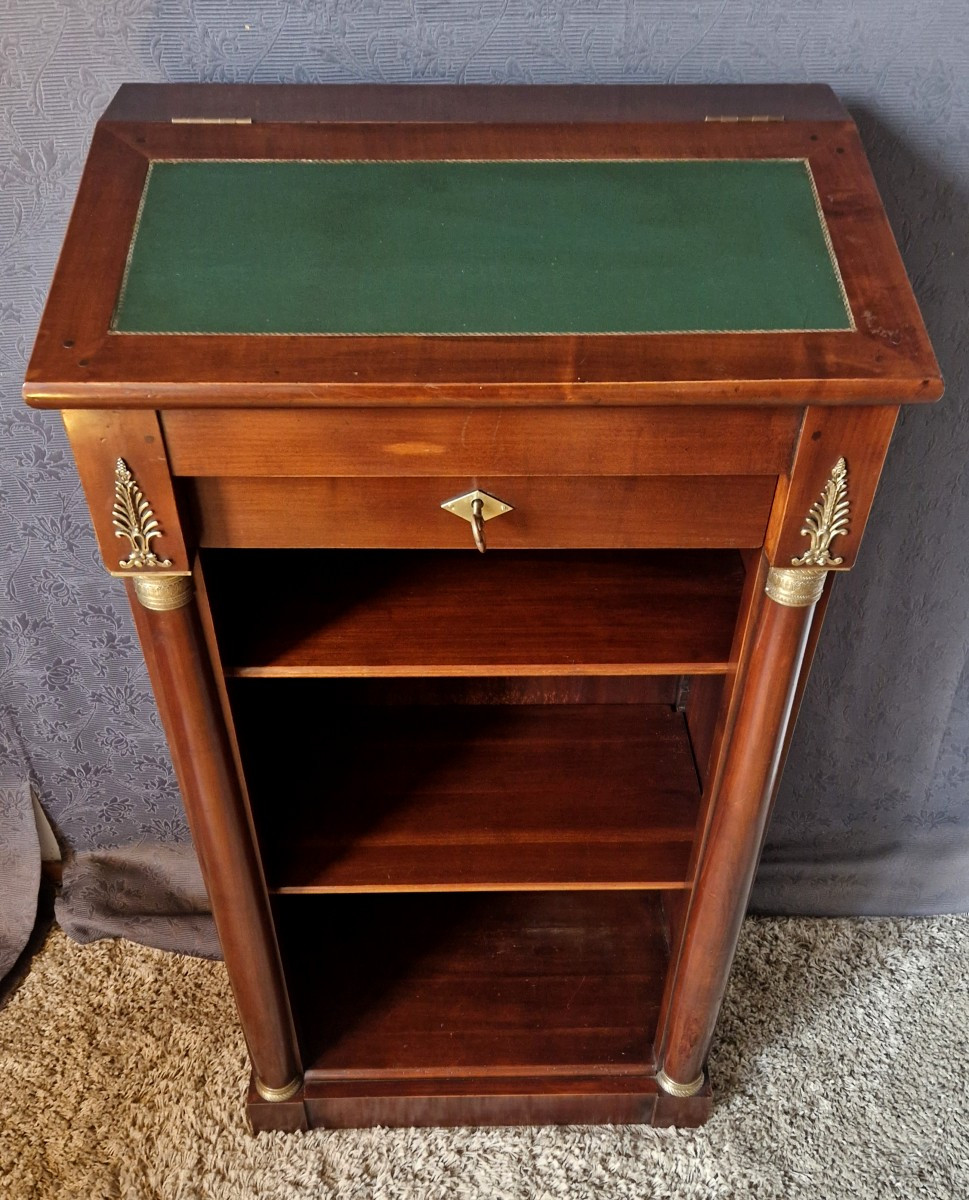 Bibus Mahogany Bookcase In The 20th Century Empire Style-photo-2