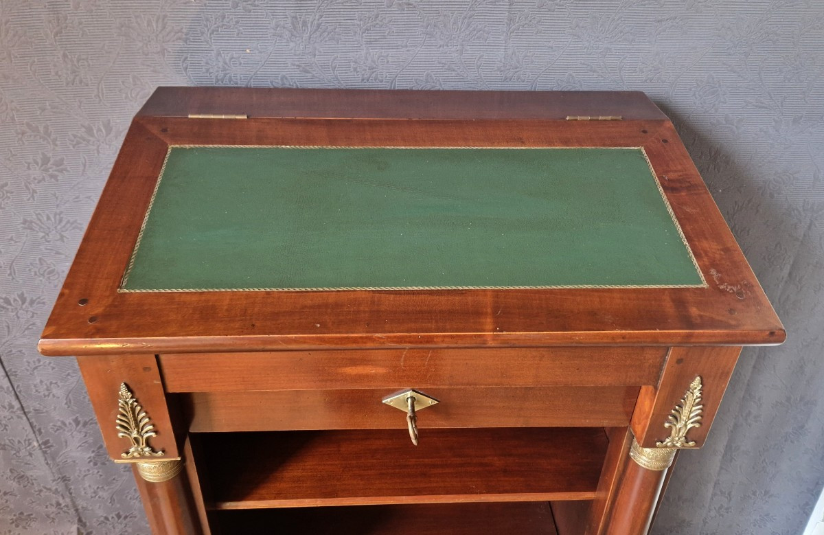 Bibus Mahogany Bookcase In The 20th Century Empire Style-photo-3
