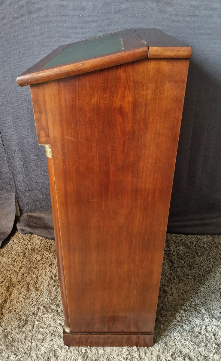 Bibus Mahogany Bookcase In The 20th Century Empire Style-photo-4