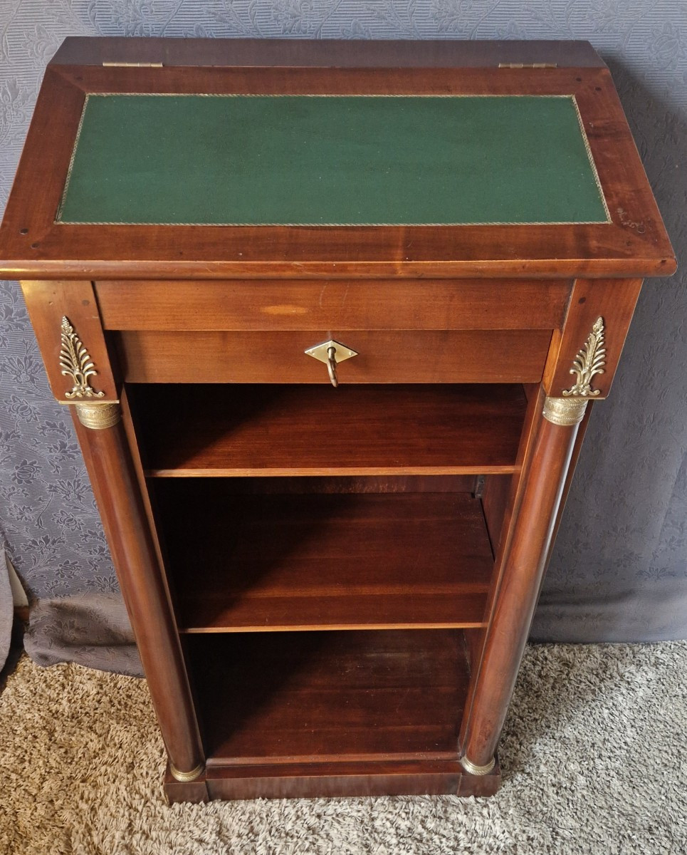 Bibus Mahogany Bookcase In The 20th Century Empire Style-photo-2
