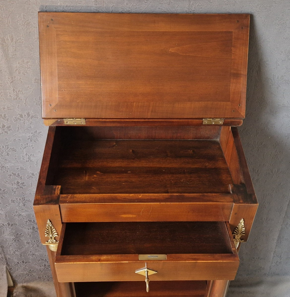 Bibus Mahogany Bookcase In The 20th Century Empire Style-photo-3