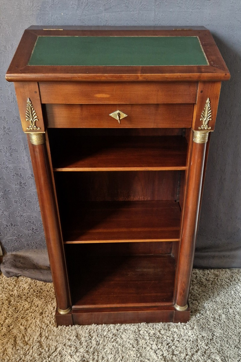 Bibus Mahogany Bookcase In The 20th Century Empire Style