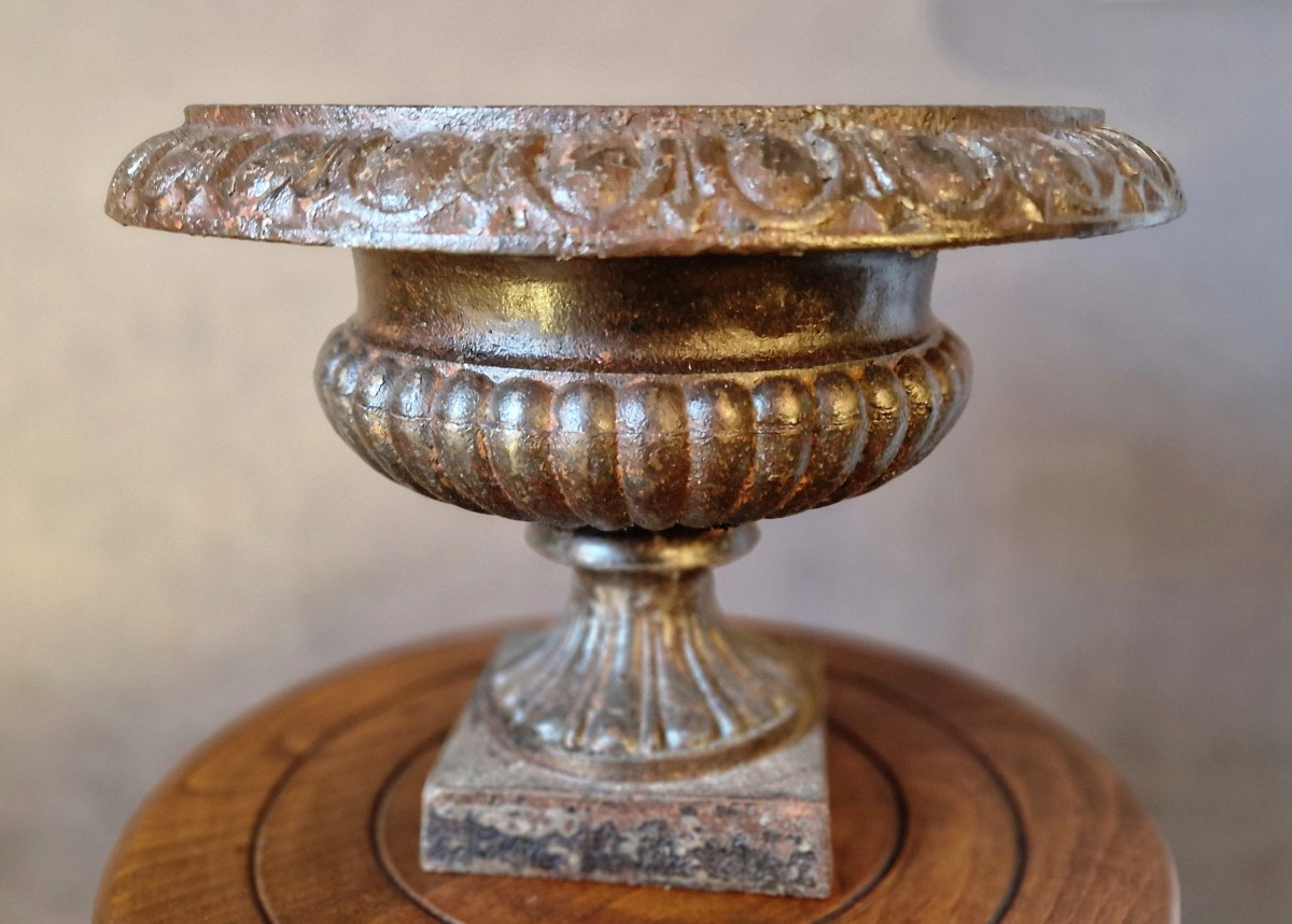 Vasque Médicis  en fonte XIXe-photo-2