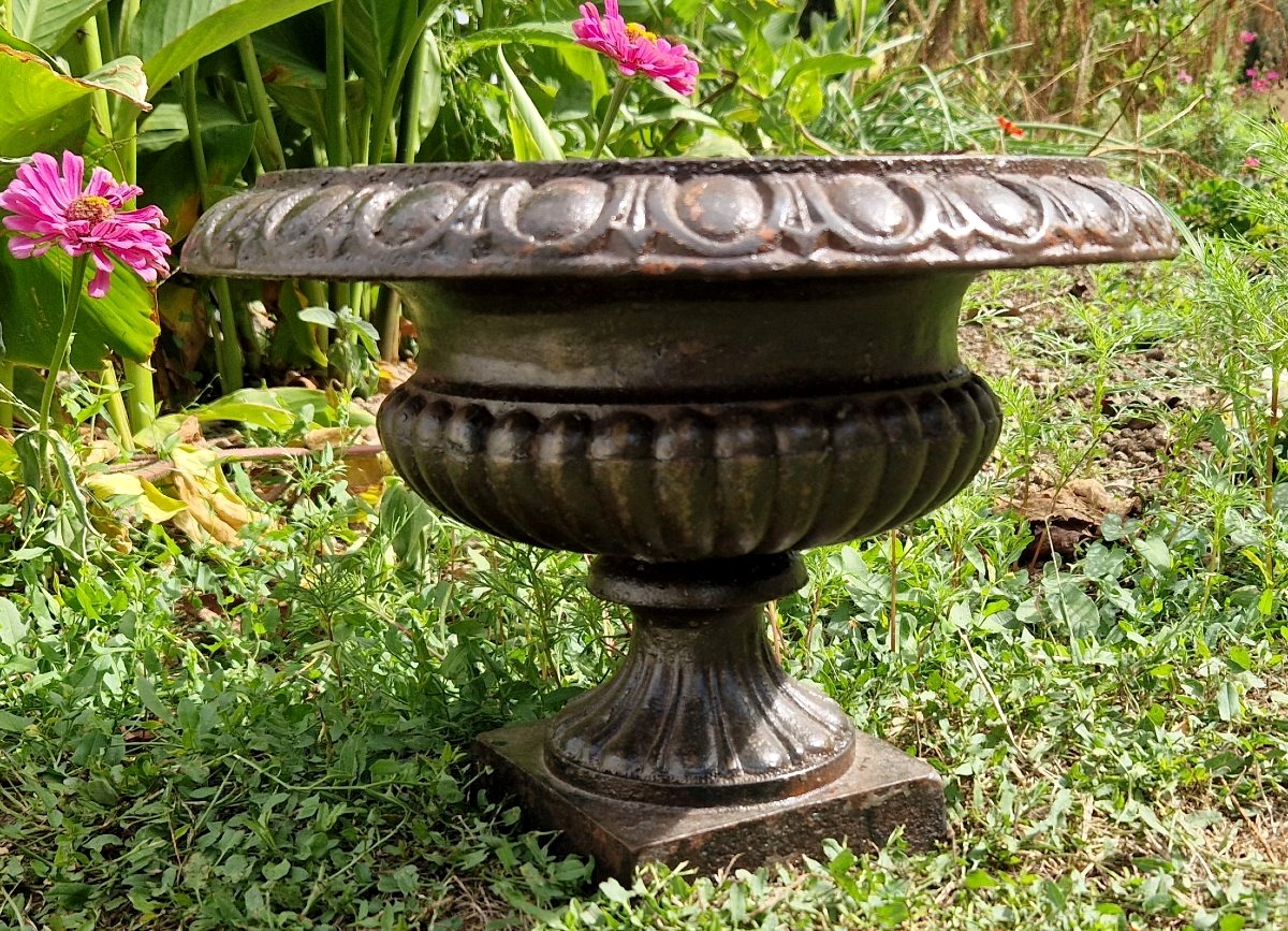 Vasque Médicis  en fonte XIXe-photo-2