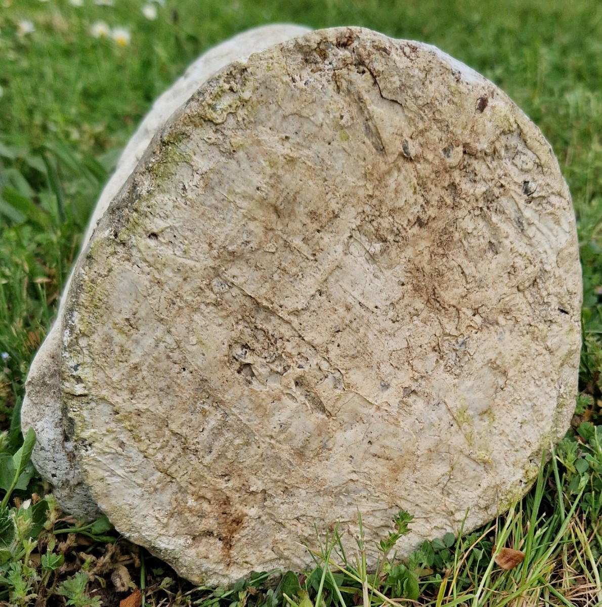 chouette de jardin XXe-photo-5