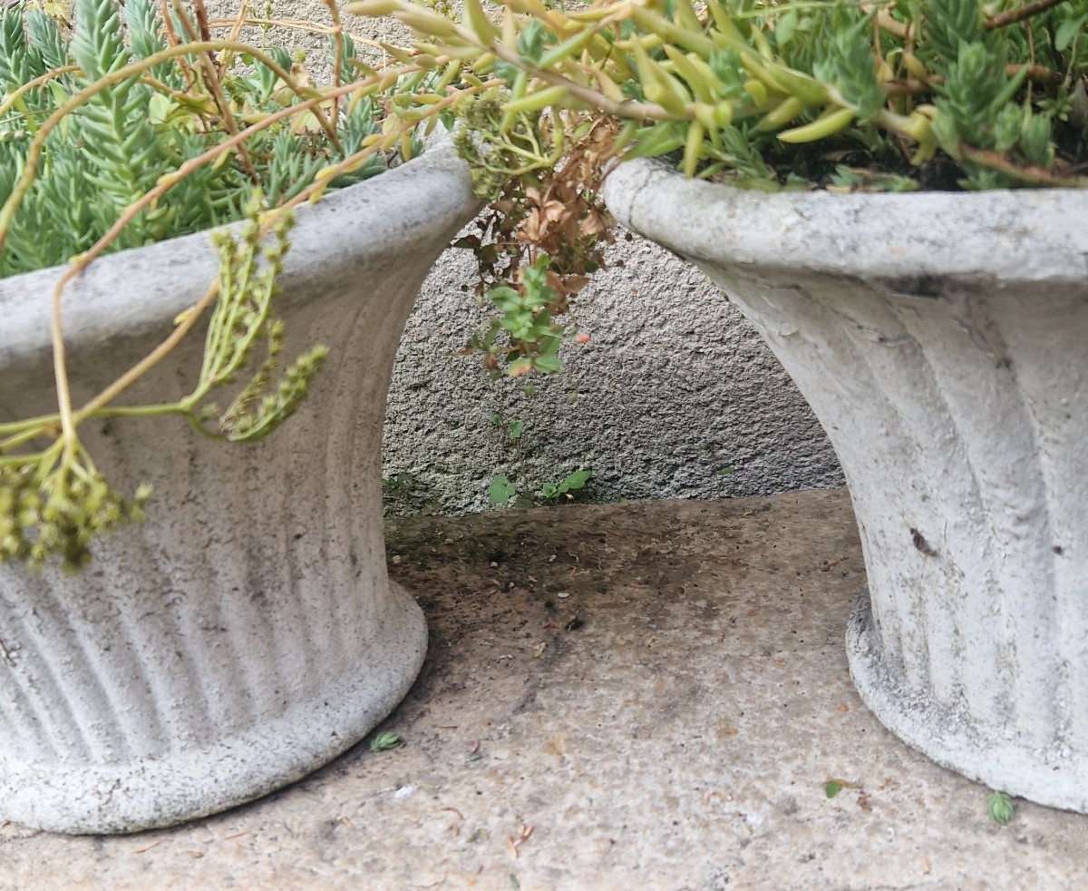 Paire vasques jardin XXe-photo-4