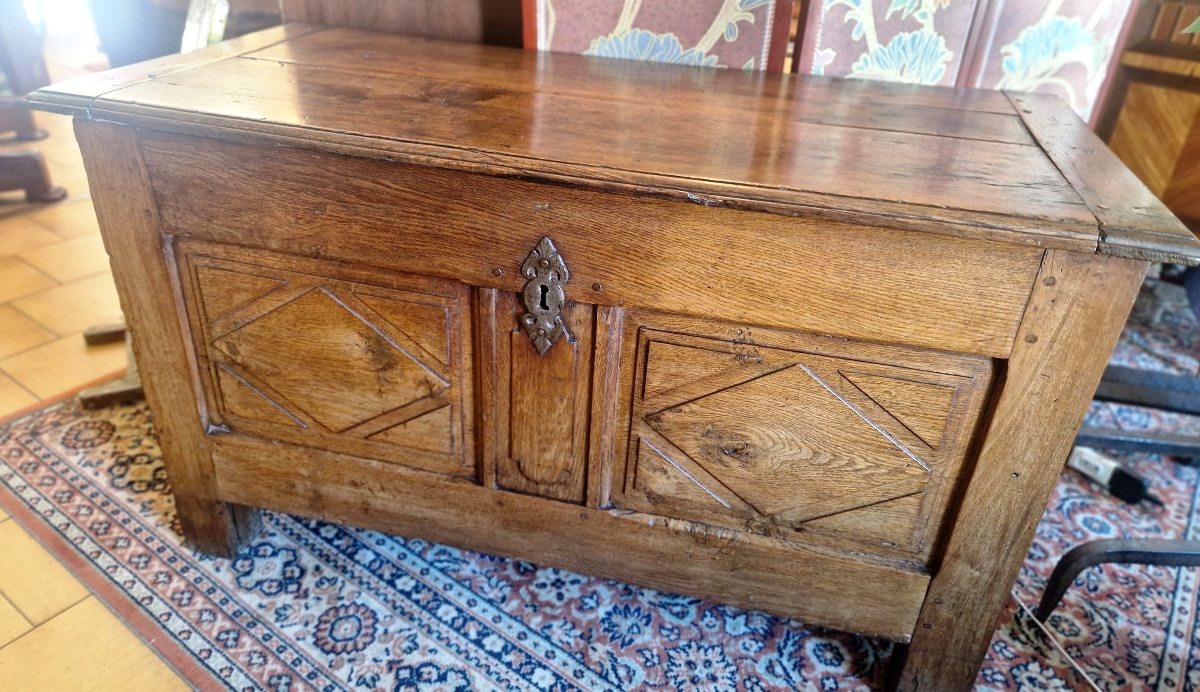 19th Century Oak Chest-photo-2