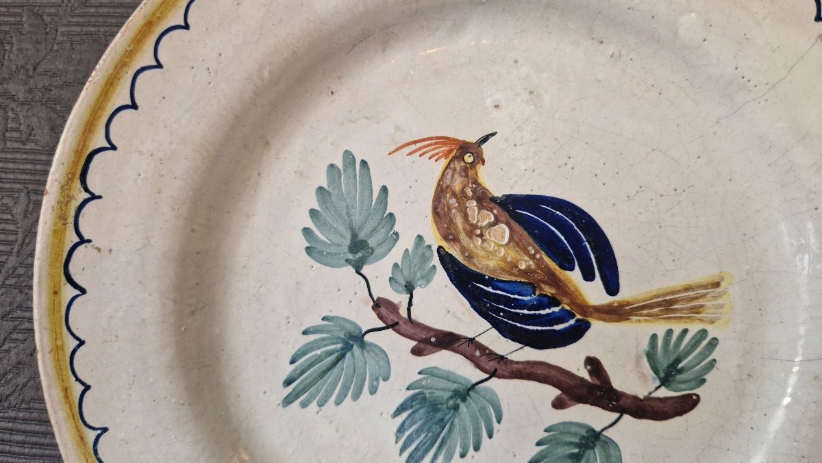 Assiette  faïence de Nevers XIXe - décors oiseau-photo-3
