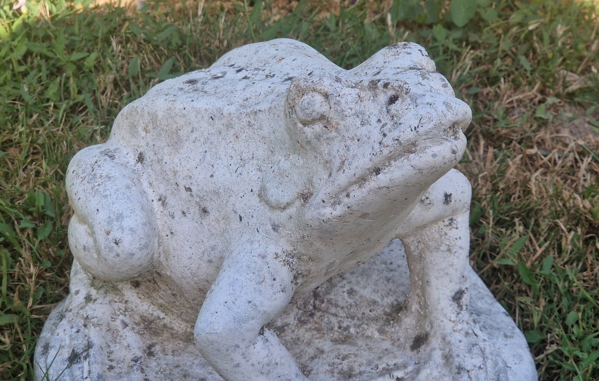 20th-century Garden Frog-photo-3