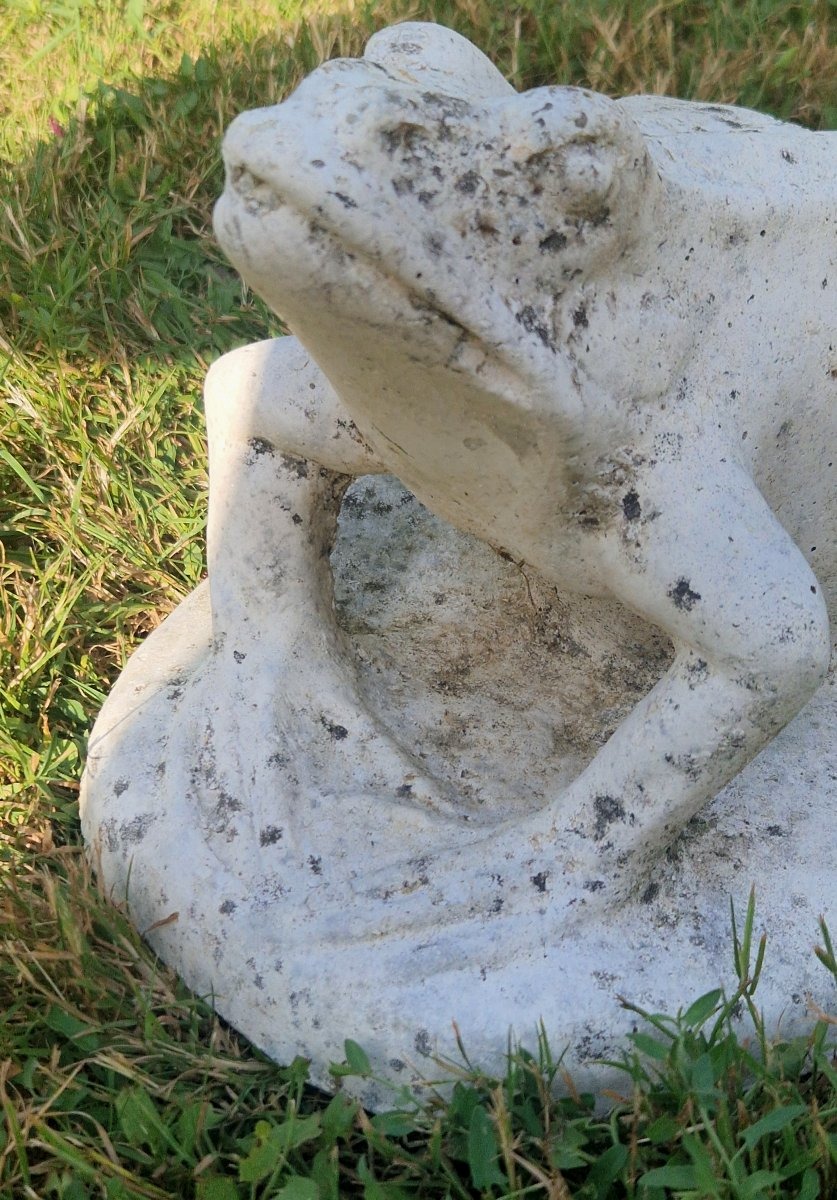 20th-century Garden Frog-photo-4