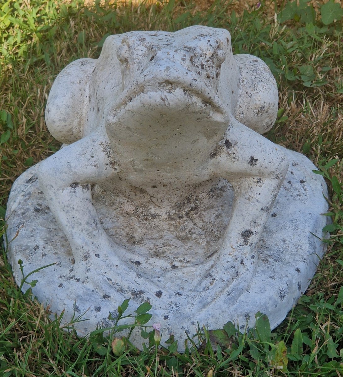 20th-century Garden Frog-photo-1