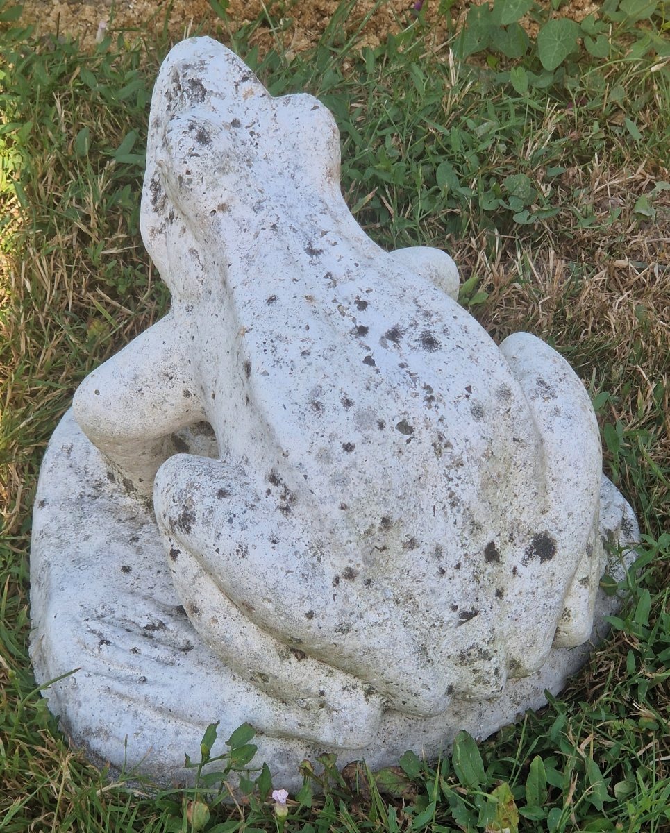 20th-century Garden Frog-photo-2