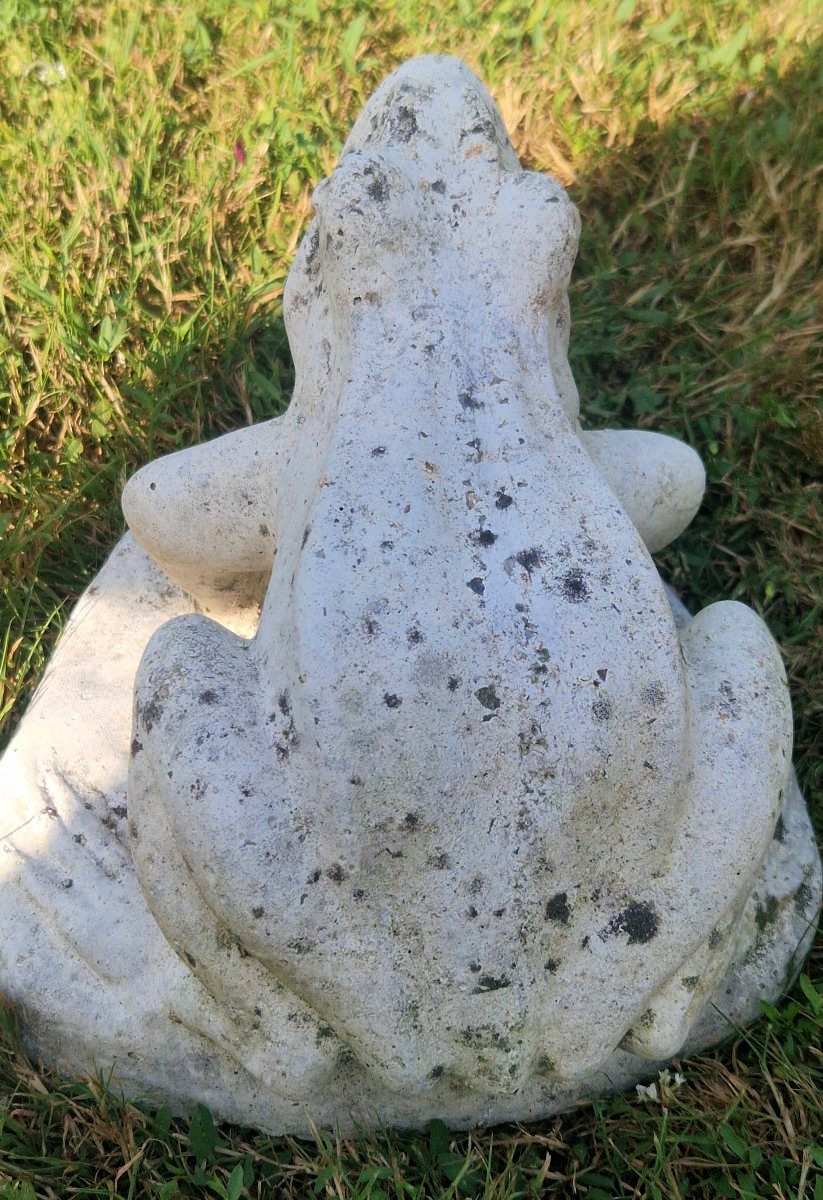 20th-century Garden Frog-photo-3