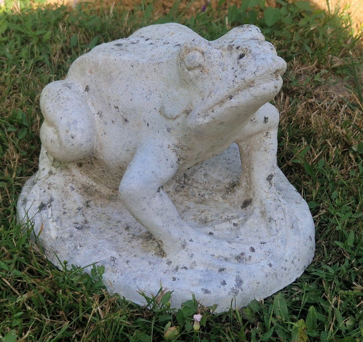 20th-century Garden Frog