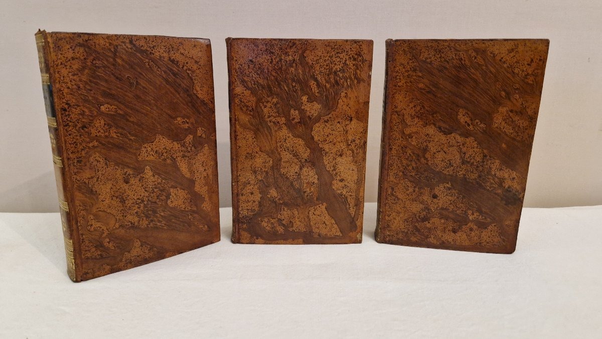 Documents Of The Society Of Jesus, 19th Century—3 Volumes-photo-3