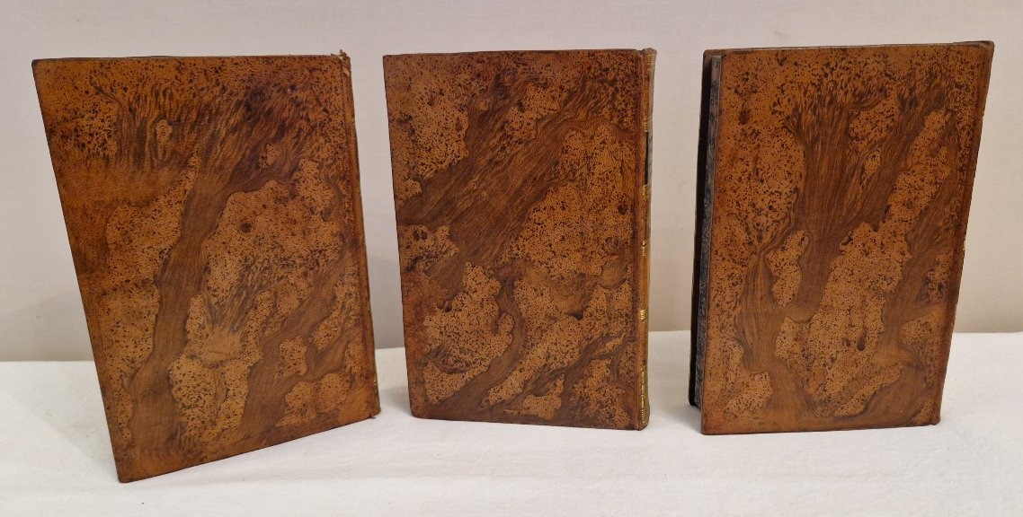 Documents Of The Society Of Jesus, 19th Century—3 Volumes-photo-4