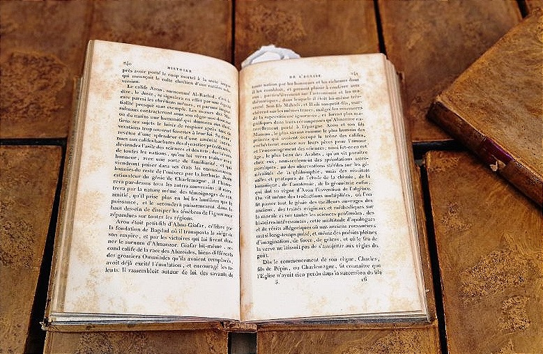 History Of The Church—1820–1828—berault Bercastel—18 Volumes-photo-1