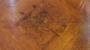 1778123-alb-6a2dbeb43db04.jpg