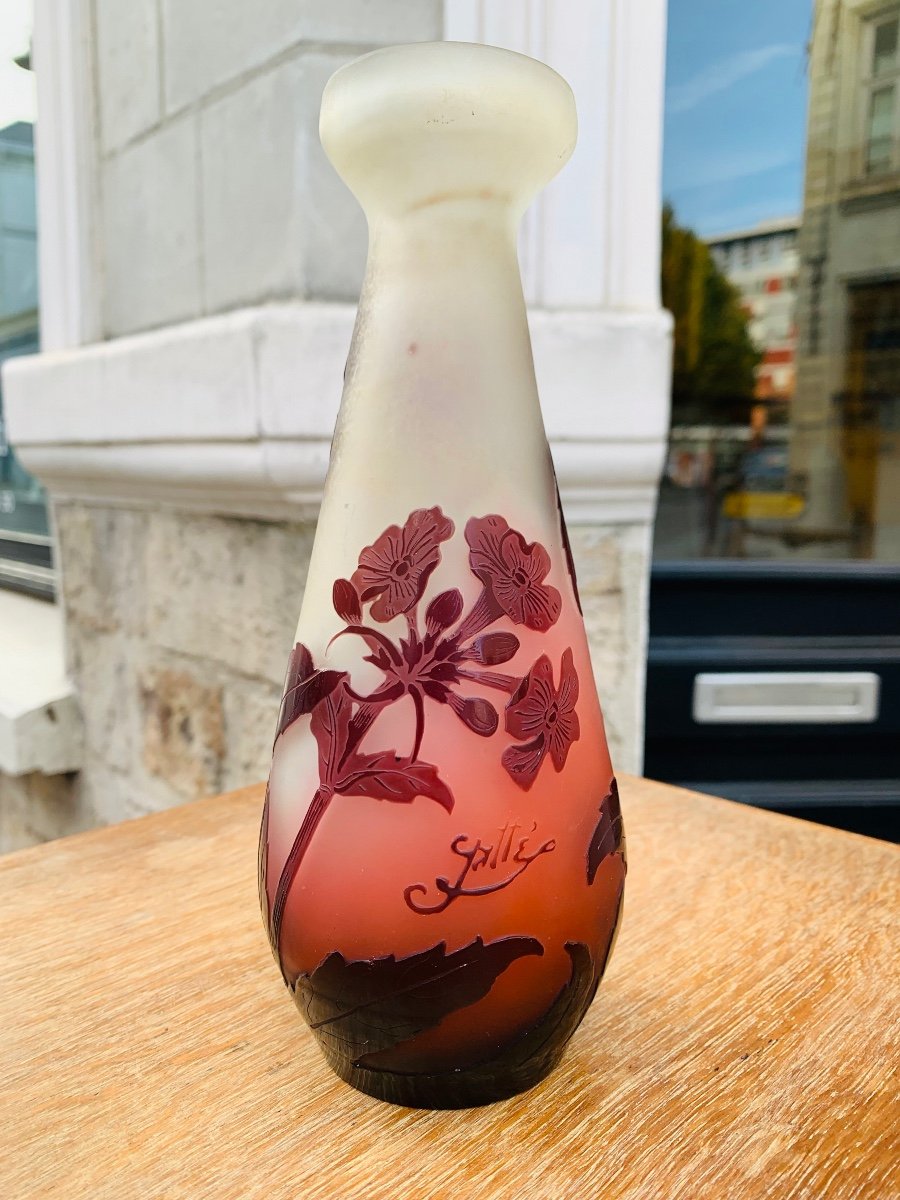 Charming Emile Gallé Vase-photo-2