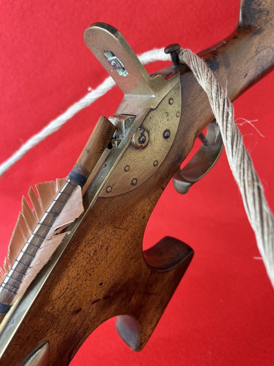 Crossbow 19th Century Walnut-photo-3