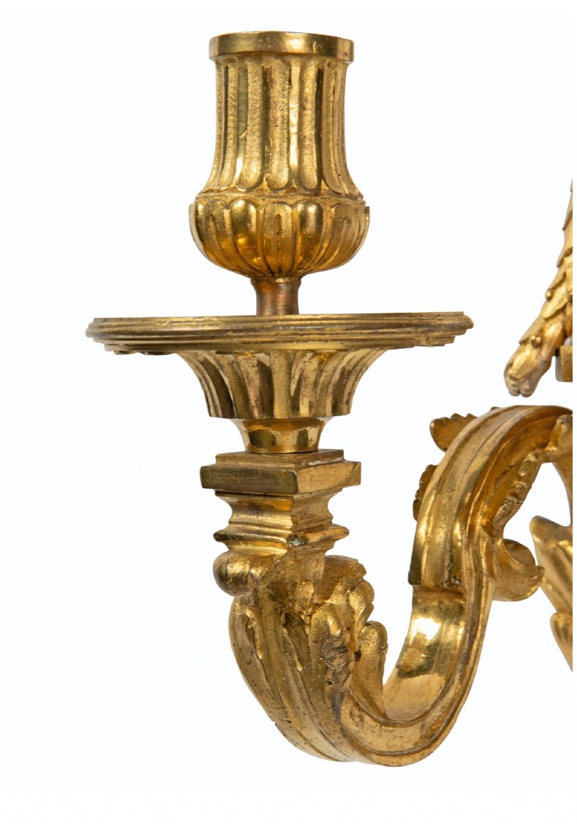 A Pair Of Gilt Bronze Louis XVI Twin Wall Lights-photo-2