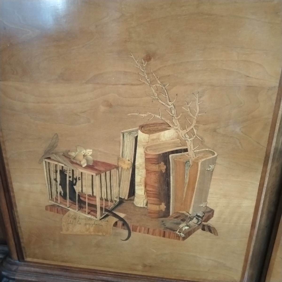 Bookcase-photo-2