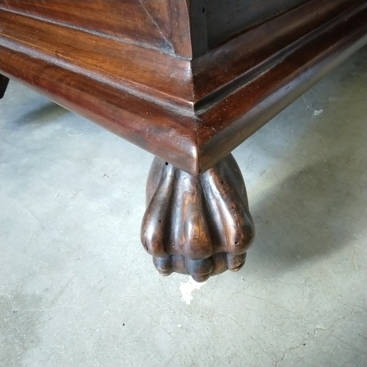 Poitrine-photo-4