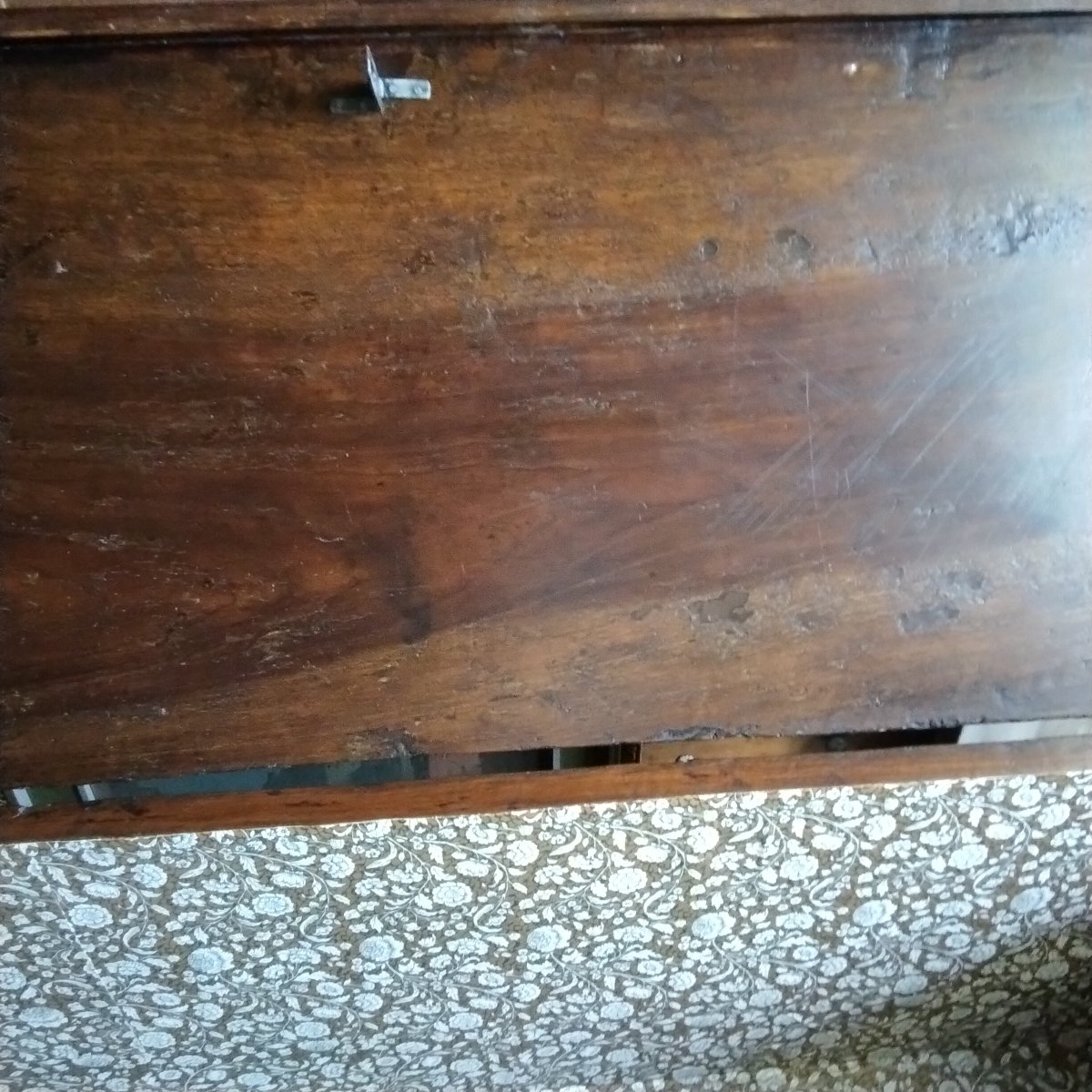 Poitrine-photo-5