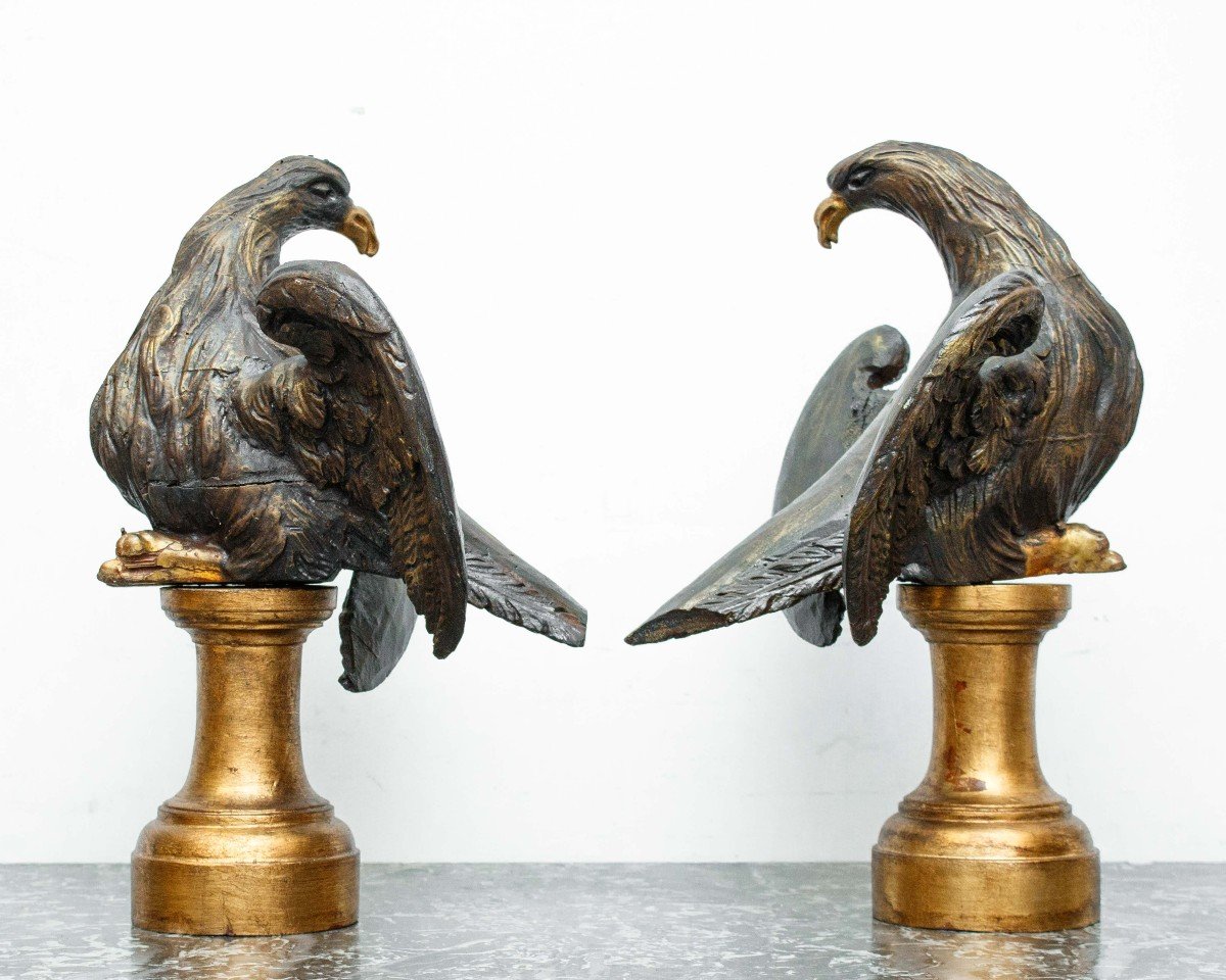 17ème Siècle, Aigles-photo-3