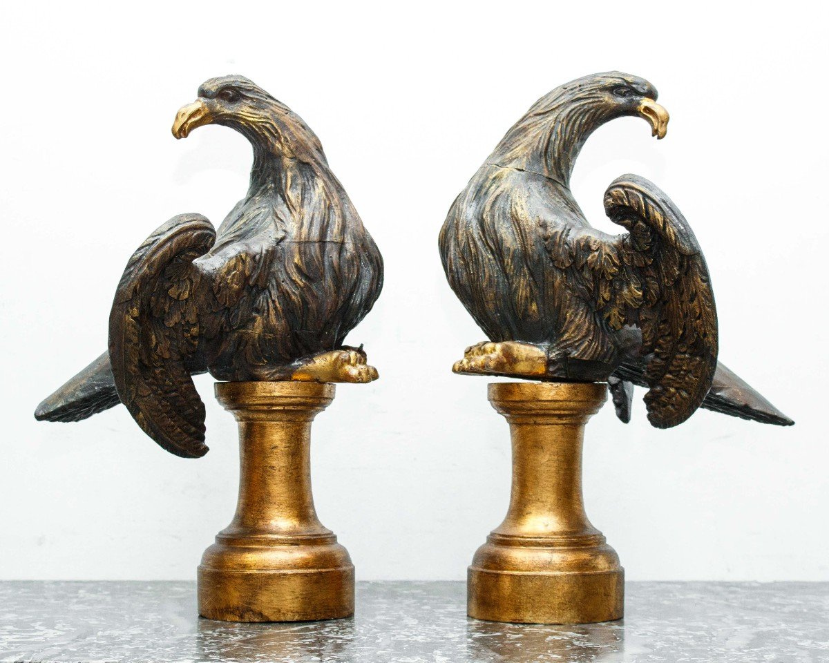 17ème Siècle, Aigles
