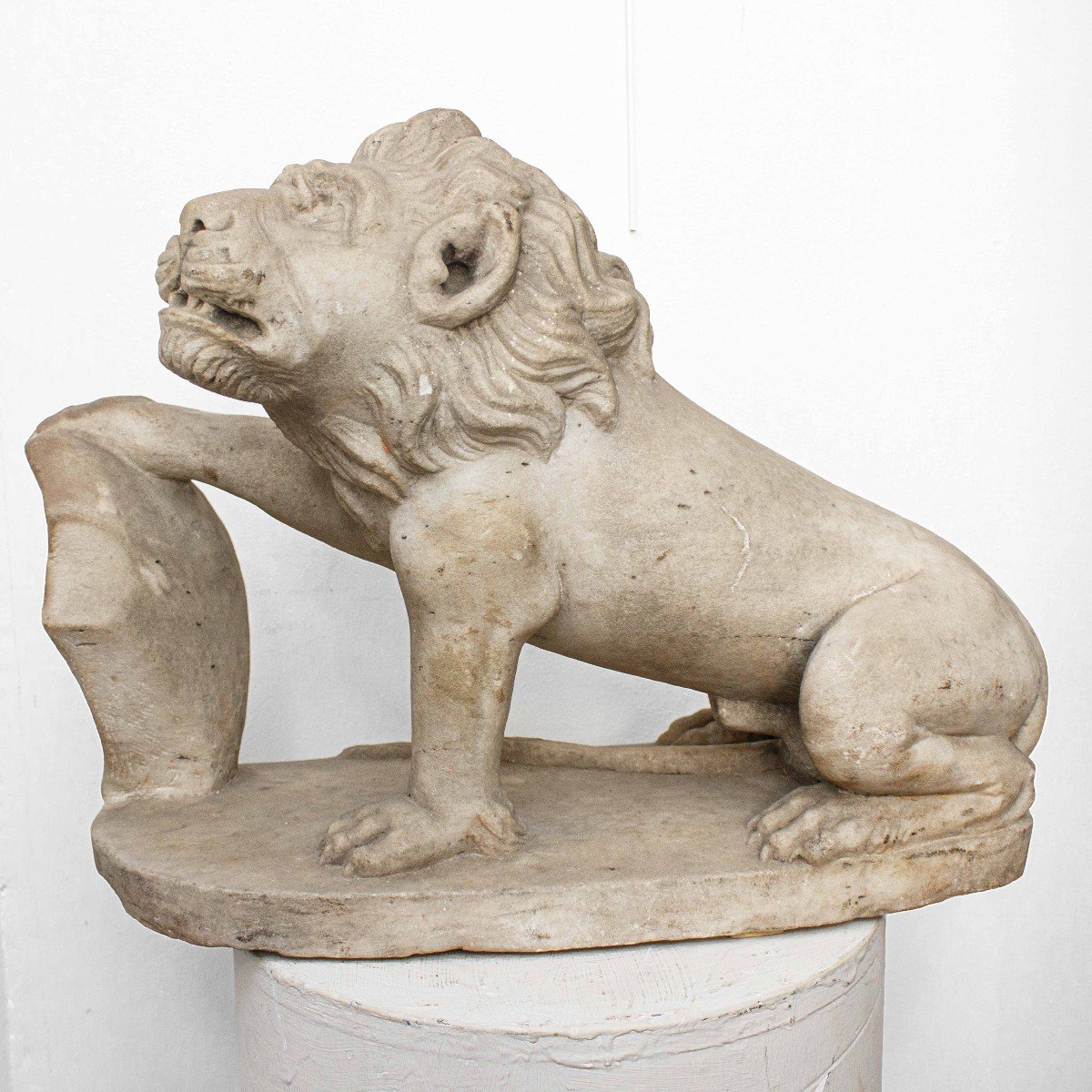  Florentine School,  17th Century, Lion With Heraldic Shield-photo-2