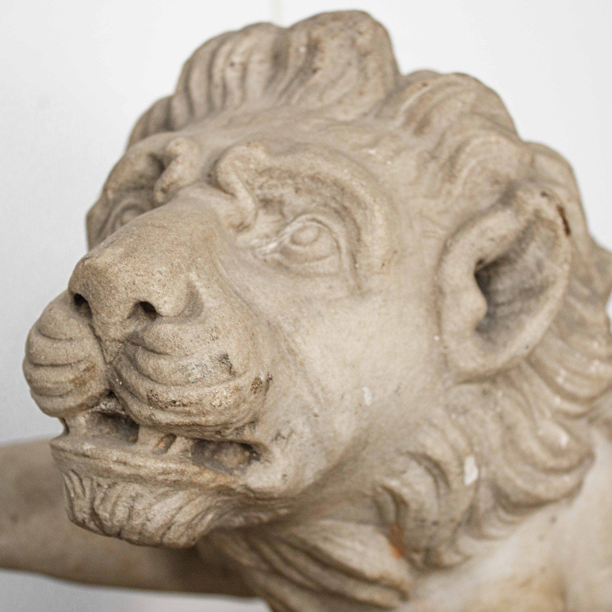  Florentine School,  17th Century, Lion With Heraldic Shield-photo-3