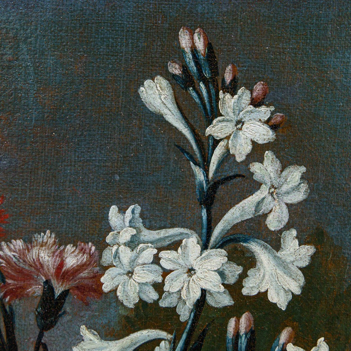Karel Van Vogelaer, Known As Carlo Dei Fiori (1653 - 1695), Flowerpot-photo-5