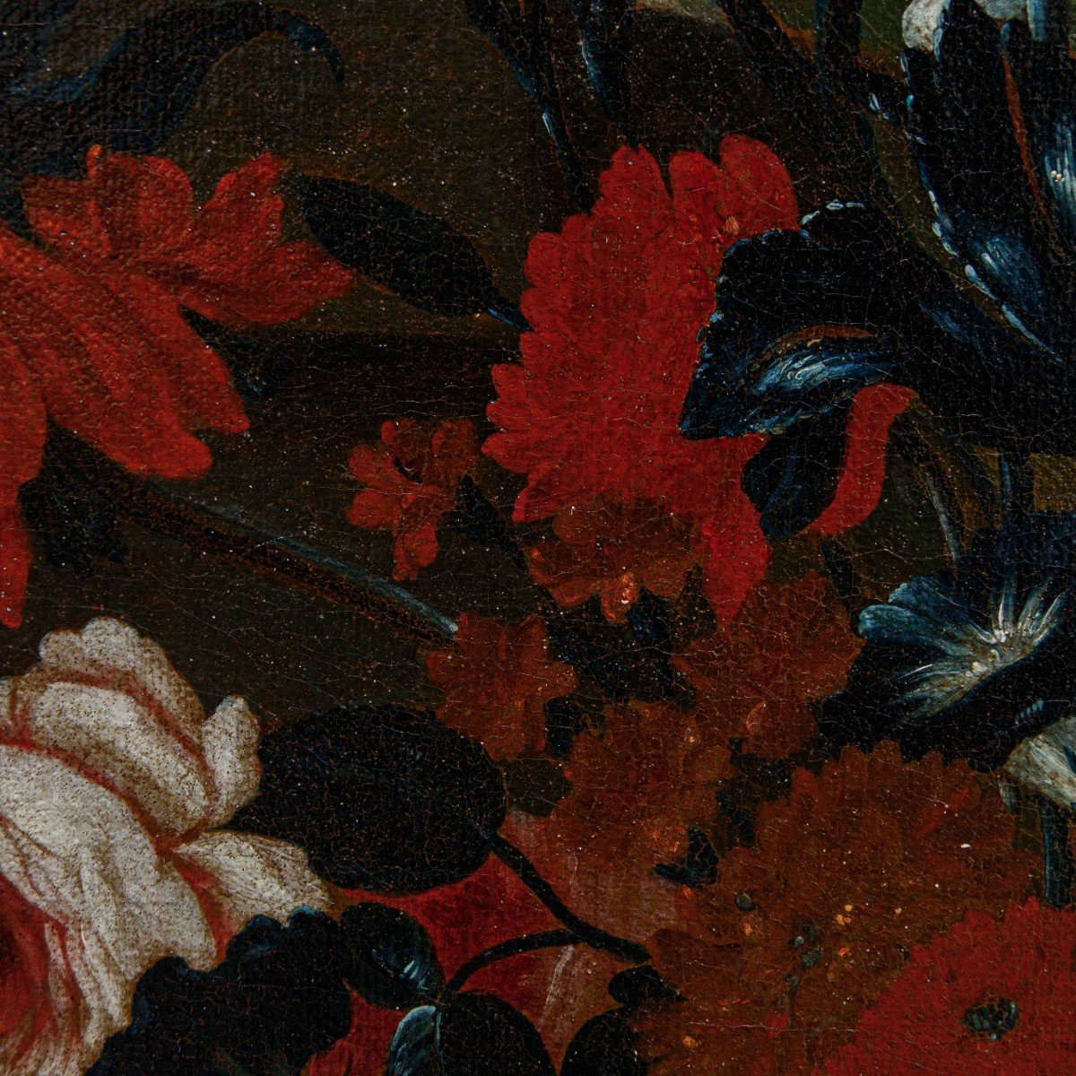 Karel Van Vogelaer, Known As Carlo Dei Fiori (1653 - 1695), Flowerpot-photo-6