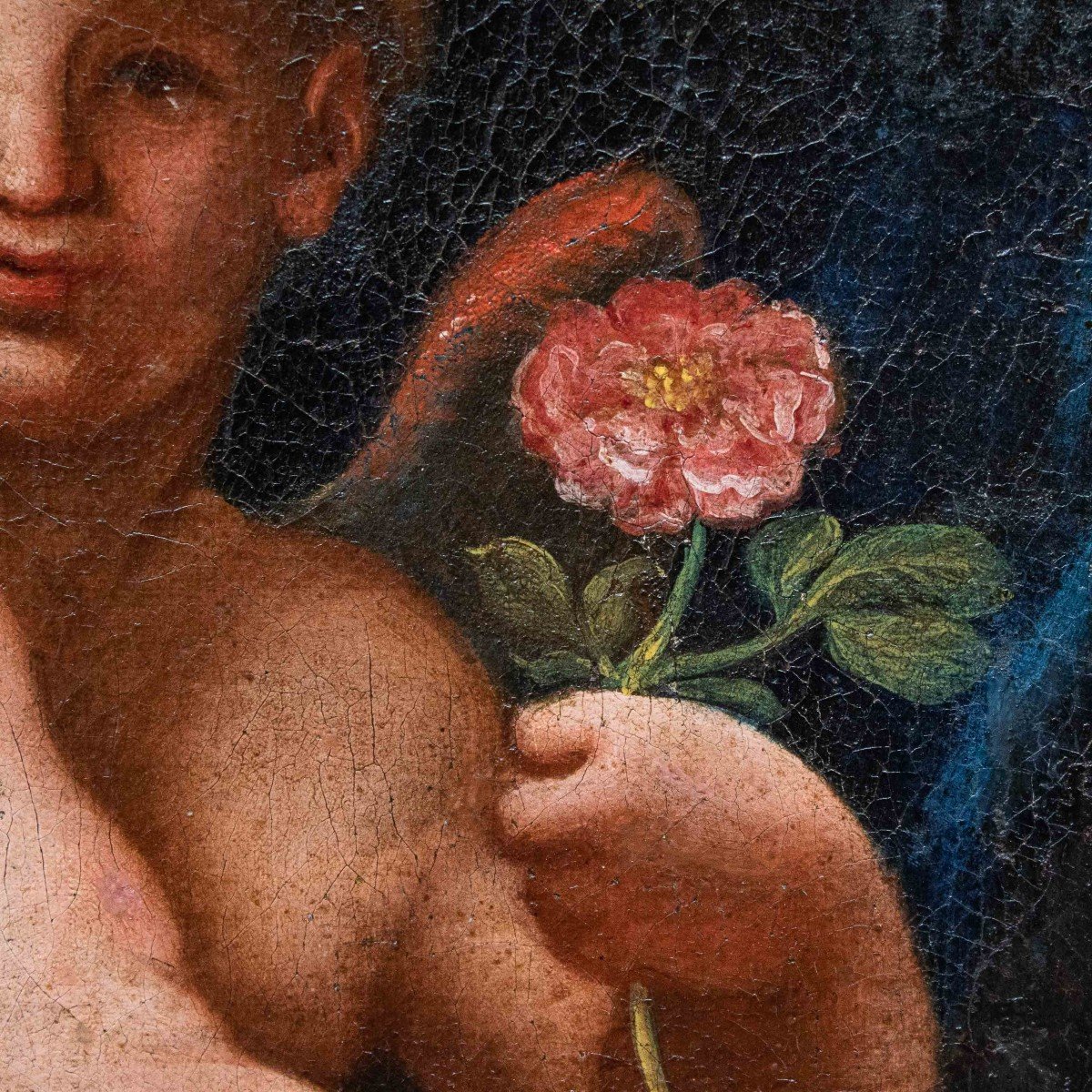 17ème Siècle, école émilienne, Putto Avec Rose-photo-4