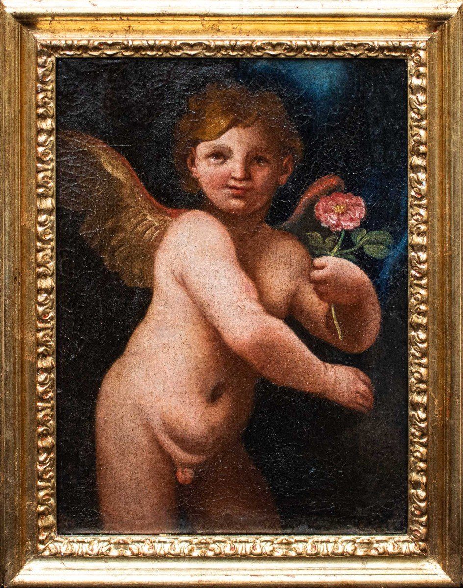 17ème Siècle, école émilienne, Putto Avec Rose
