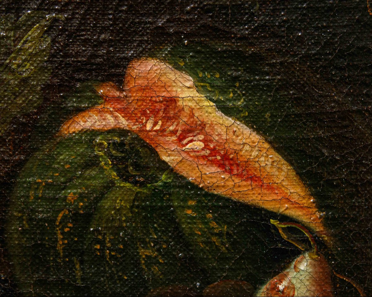 Roman School, XVII, Still Life With Pumpkin, Pears And Figs-photo-3