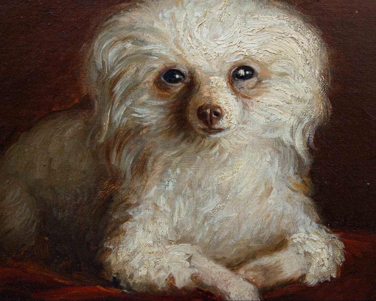 A. Fallol (france, Second Half Of The 19th Century), Poodle-photo-3