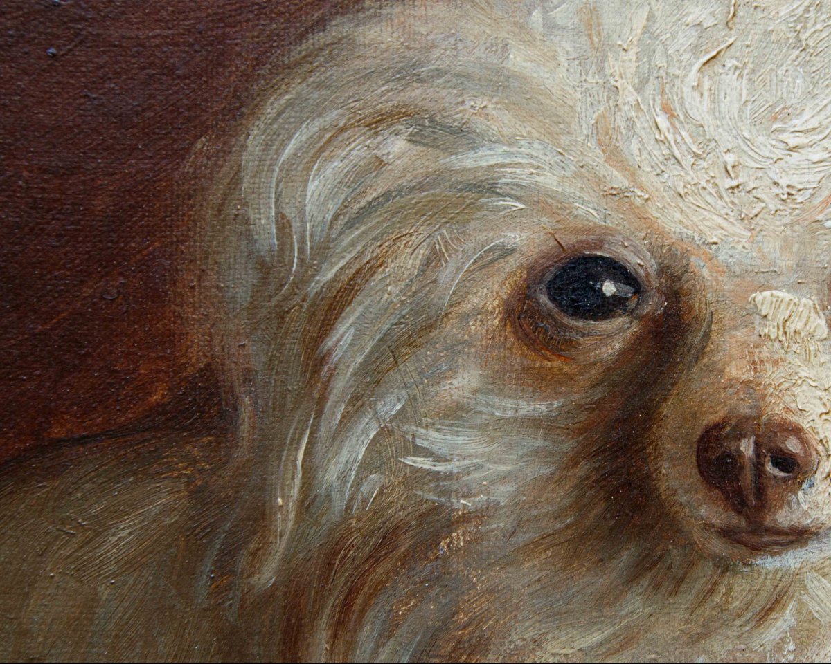 A. Fallol (france, Second Half Of The 19th Century), Poodle-photo-2