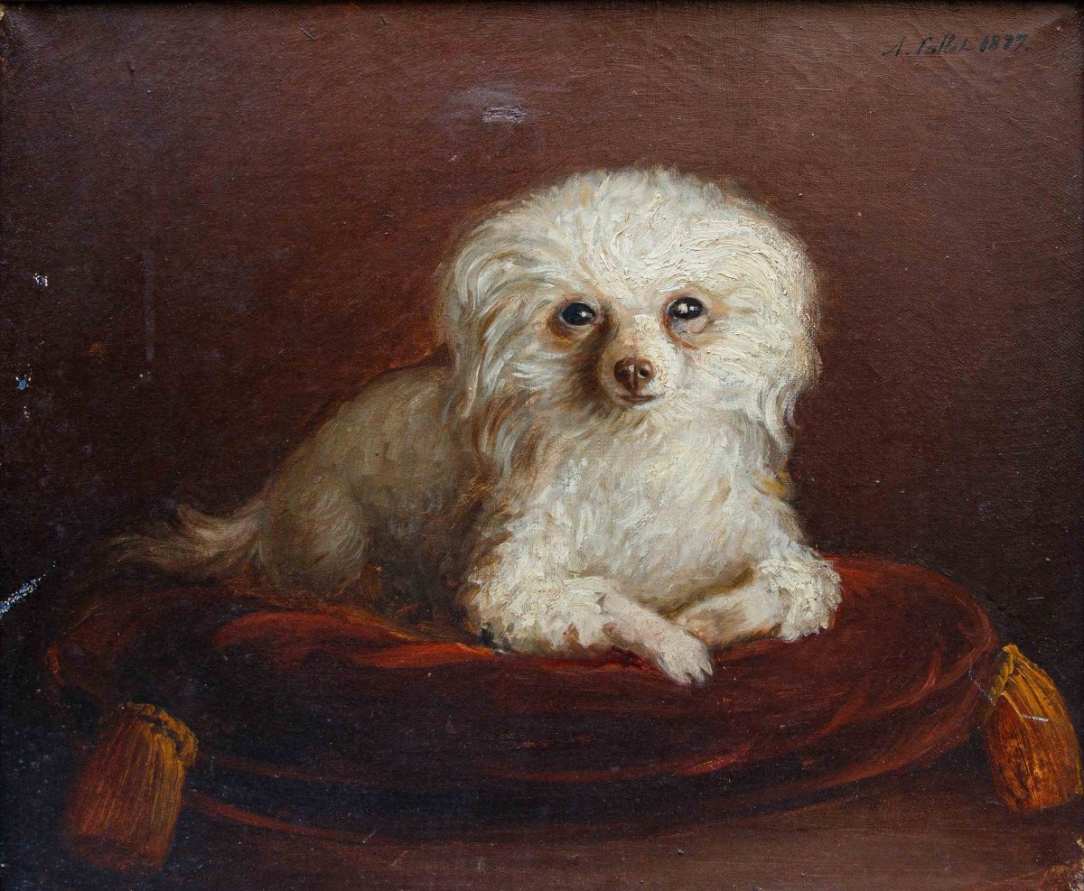 A. Fallol (france, Second Half Of The 19th Century), Poodle-photo-4